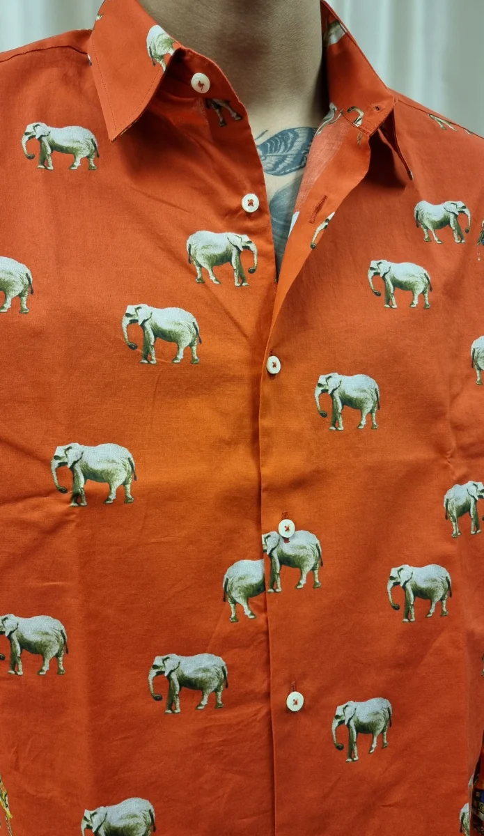 CAMICIA - LOST IN ALBION - immagine 4